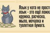 Смішні анекдоти, які піднімуть настрій на весь день (ФОТО)