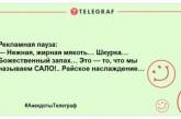 Сала багато не буває: весела добірка анекдотів про улюблені ласощі українців (ФОТО)