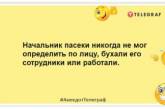 Делать из пасеки контактный зоопарк - не самая лучшая идея: уморительные шутки про пчел (ФОТО)