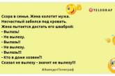 Никогда не смей винить себя в том, в чём можно обвинить кого-то ещё: анекдоты для хорошего настроения 