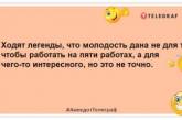 Кішечка працюй, собачка працюй, а я не працюй: жартівливі жарти про трудові будні (ФОТО)