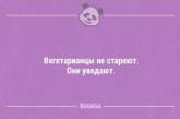 Смішні анекдоти в середині тижня