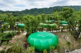 У Південній Кореї ліс перетворили на еко-готель. (ФОТО)