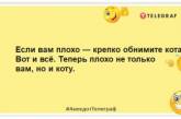 Ти пускаєш кота у своє життя, а він не хоче спати з тобою на дивані: смішні жарти про вусатих та хвостатих (ФОТО)