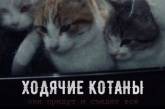 Улыбка до ушей: если бы герои популярных фильмов были котики (ФОТО)