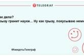 Не ранок, а суцільний позитив: найкращі жарти, щоб посміятися цього дня