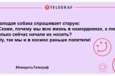 Посміхаємося разом: найкращі анекдоти для відмінного настрою на цілий день