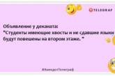 Самая большая студенческая ложь - это "Список использованной литературы": смешные анекдоты про студентов (ФОТО)