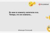 Муж-карась не может понять, его жена просто молчит, или обиделась…: шутки для поднятия настроения (ФОТО)