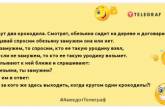 Недостатньо бути скромним, треба, щоб усі про це знали: позитивні жарти на вечір (ФОТО)