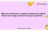 В каждом доме должны быть уют, радость и штопор: самые смешные анекдоты на утро (ФОТО)