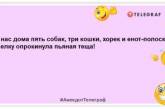 Смієшся: найкращі анекдоти на ранок, які піднімуть настрій (ФОТО)