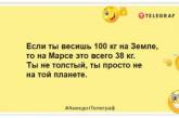 Говорят, что смех способствует похудению… Помогите высмеять 12 килограмм! Веселые шутки про лишний вес (ФОТО)