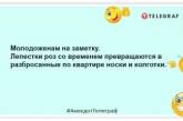 Первое правило молодожена: забудь все, чем тебя кормила мама: смешные шутки про молодые семьи