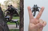Японський художник перетворює культові Інтернет-меми з тваринами на скульптури.