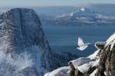 Фотографии победителей конкурса Bird Photographer of the Year 2022