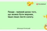 Перший крок до схуднення зроблено — я погладшав: смішні жарти про дієту (ФОТО)