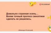 Не забуваємо про головний плюс осені — ніхто не знає, що у тебе в термосі: веселі жарти про золоту пору (ФОТО)