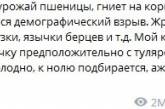 Миші проти росіян: у Росії швидко знайшли заміну "бойовим комарам" - як відреагувала мережа (ФОТО)