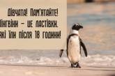 Перший крок до схуднення зроблено - я погладшав: жартівливі жарти про дієти (ФОТО)