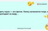 Я человек простой — вижу паука, собираю вещи и переезжаю: страшно смешные шутки об этих насекомых (ФОТО)