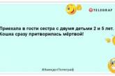 Той, хто рано встає… Той нявкає, дряпається, гасає по квартирі, і отримує тапком: веселі жарти про котів (ФОТО)