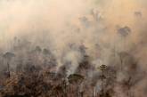 Борьба с пожарами и вырубкой лесов в Амазонии. ФОТО