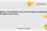 Помыть кошку в ванной — это как провести обряд экзорцизма: новые шутки о братьях наших меньших (ФОТО)