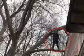 В Одесі працівники ДСНС знімали з дерева чоловіка, якого кохана не пустила через вікно (ФОТО)