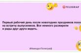 Не подвожу итоги года, потому что планирую в последнюю ночь все доделать: смешная подборка анекдотов про Новый год