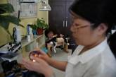 В китайском центре домашних животных лечат иглоукалыванием и прижиганием. ФОТО
