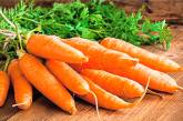 Як виростити багатий урожай моркви