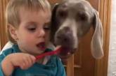 Новий хіт: нахабний собака вирішив «допомогти» незграбній дитині з вечерею (ВІДЕО)