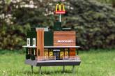 В Швеции появился крошечный McDonald’s для пчел (ВИДЕО)