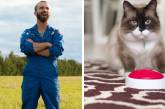 Видеоблогер насмешил YouTube, научив кошку запускать ракету (ВИДЕО)