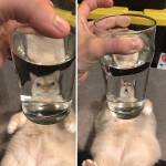 Минутка отличного настроения.