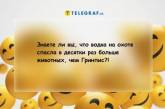 Главный трюк хорошего шашлыка на охоте — это взять с собой мясо: веселые шутки про охотников (ФОТО)