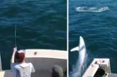 Акула выпрыгнула из воды в лодку и напугала рыбаков (ВИДЕО)