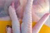 В пакете с куриными голенями обнаружилась куриная лапа с маникюром (ФОТО)