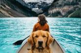 Пес-путешественник повеселил пользователей Instagram (ФОТО)