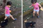 Хитрый щенок отвлёк маленькую хозяйку, чтобы отобрать у неё конфетку (ВИДЕО)