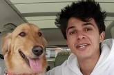 Американець подарував собаці будку за $20 тисяч (ВІДЕО)
