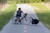Агресивна індичка тероризує пішоходів та велосипедистів (ВІДЕО)