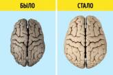 Група людей обернула старіння мозку всього за 6 місяців, і цей досвід можна повторити самостійно