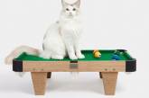 Мініатюрний більярдний стіл було створено спеціально для котів (ФОТО)