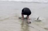 Серфер не побоялся взять на руки акулу, чтобы отнести её в воду (ВИДЕО)