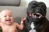 Смішні докази того, що тварини – найкращі друзі дітей (ФОТО)