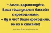 Минутка позитива: веселые анекдоты для отличного настроения. ФОТО