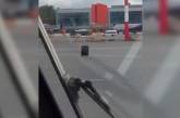 Багаж сбежал от грузчиков в аэропорту: забавное видео 