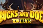 Пригоди мисливця за дикими тваринами у Bucks And Doe 10K Ways від Reel Play